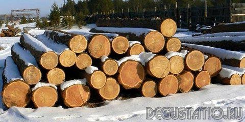 Новые правила приема древесины обсудили в Приморье